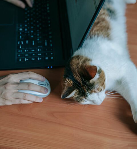 Fixer ses tarifs en freelance : la stratégie gagnante pour être rentable