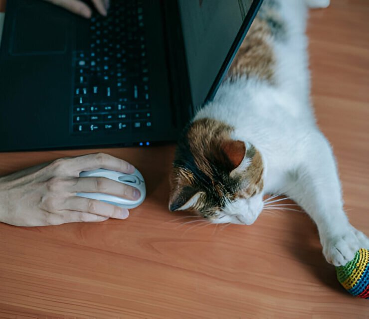 Comment décrocher sa première mission freelance (sans expérience)