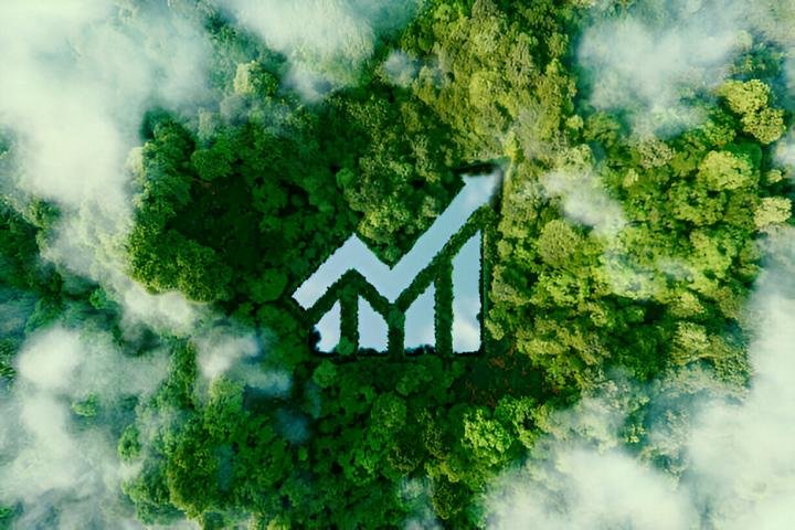 Métiers verts comment faire carrière dans l’écologie en 2025